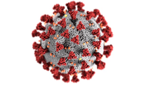 3-D image of the Coronavirus 3-D image of the Coronavirus